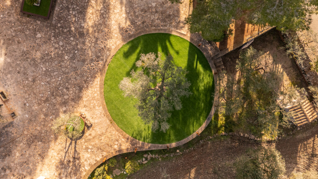 BARCELOMULET - MOREYS LAMP (REEL)